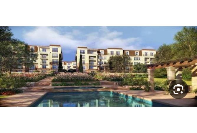 8141039 - Property Image 3