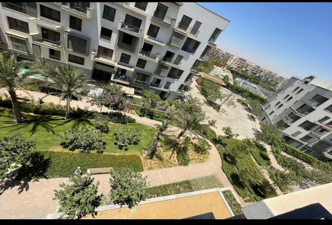 8002504 - صورة العقار 2