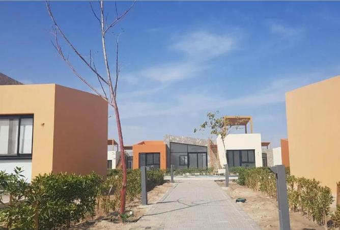 8451740 - Property Image 3