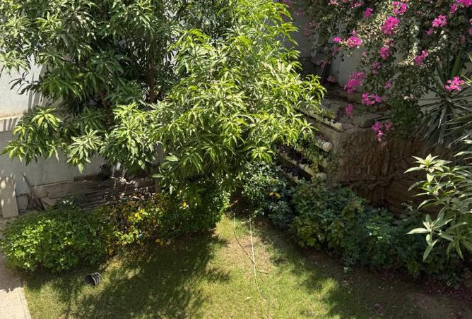 7888240 - Property Image 3