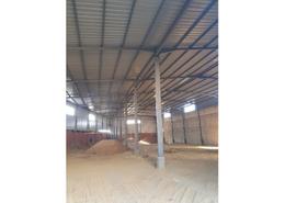 Warehouse for للايجار in Street 1000 - Industrial Zone - Obour City - Qalyubia