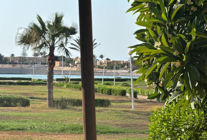 8025643 - صورة العقار 3