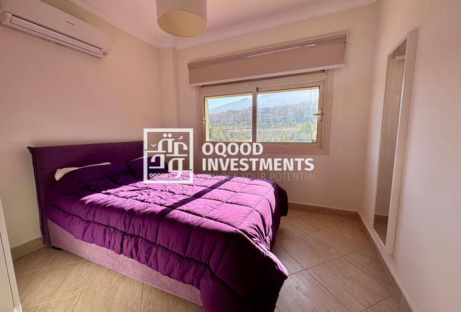 8497985 - Property Image 3