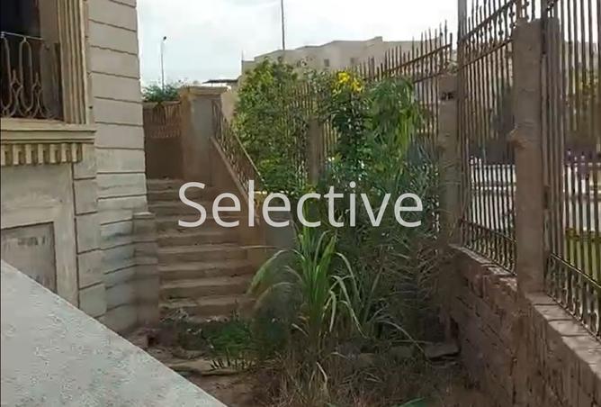8017710 - Property Image 3