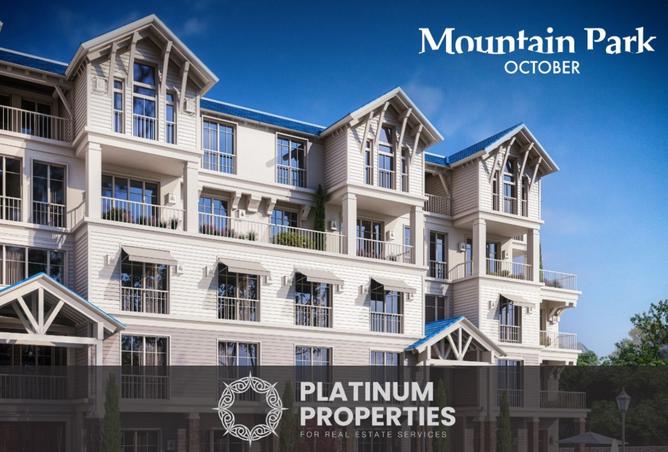 8558318 - Property Image 3