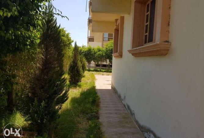 8213608 - صورة العقار 3