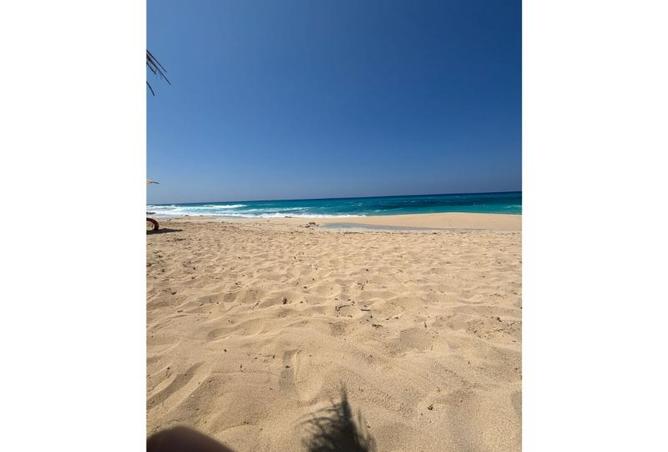 7971423 - صورة العقار 2
