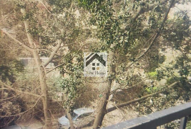 8249925 - Property Image 3