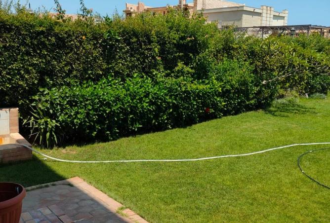 8299665 - Property Image 3