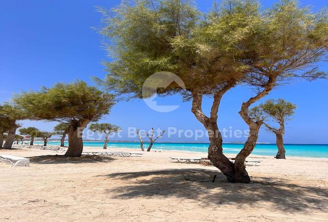 7968440 - صورة العقار 3