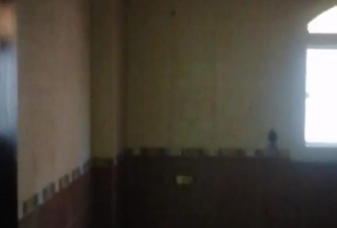 8203369 - Property Image 3