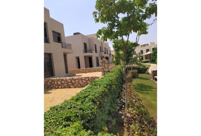 8278554 - Property Image 3