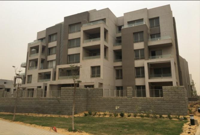 7987527 - Property Image 3