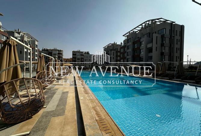 8240774 - Property Image 2