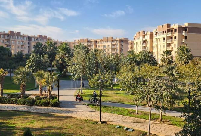 8244553 - Property Image 3