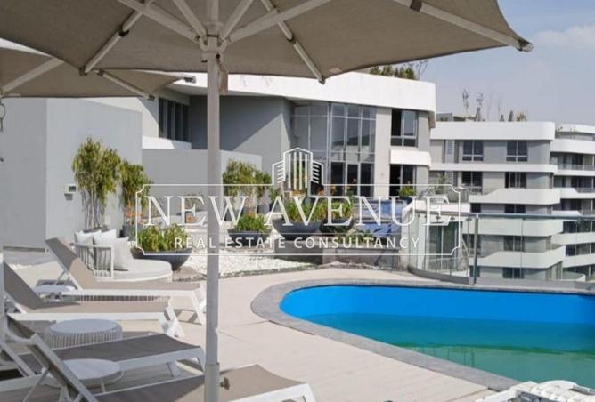 8268496 - Property Image 2