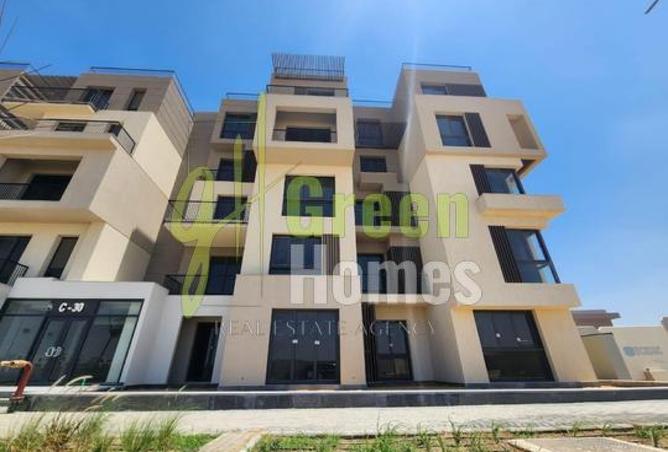 8383751 - Property Image 2