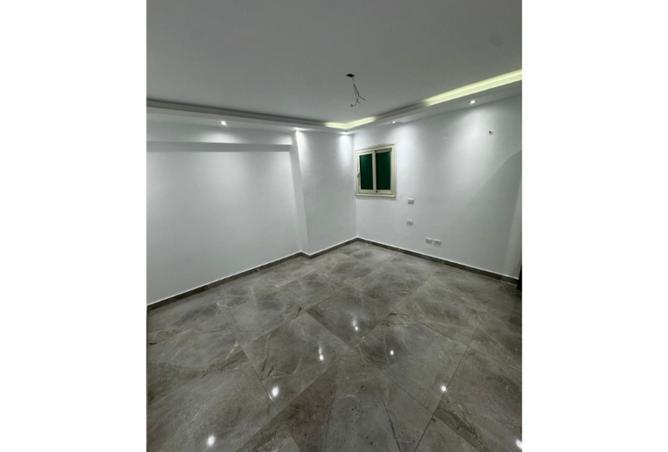 8120409 - Property Image 3