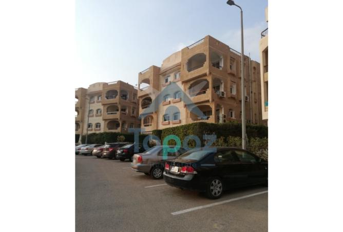 8195904 - صورة العقار 2