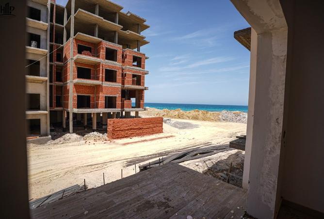 8018705 - Property Image 3