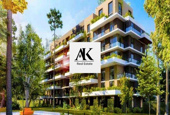 8057218 - Property Image 3