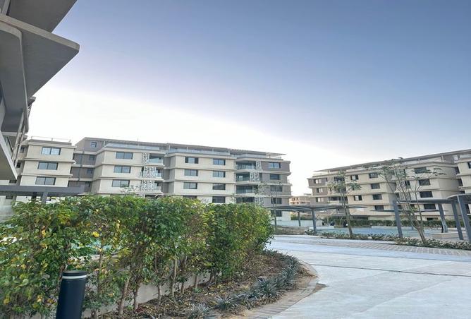 7971196 - Property Image 3
