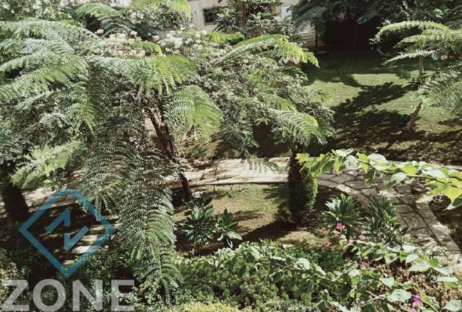 8464983 - Property Image 3