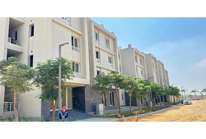 7913434 - صورة العقار 3