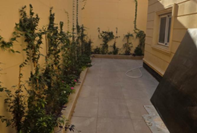 8309921 - Property Image 3