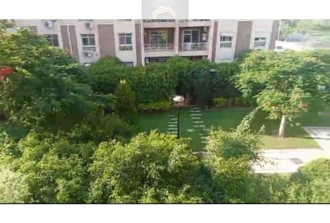 8336758 - صورة العقار 2