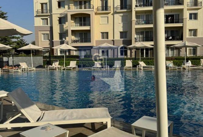 8464126 - Property Image 2