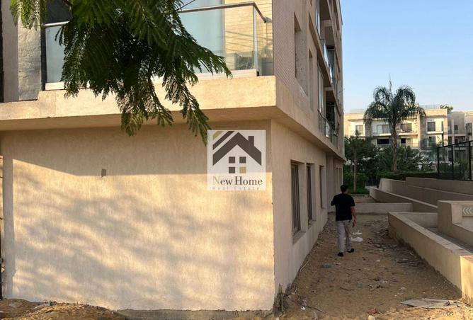 8146099 - Property Image 3