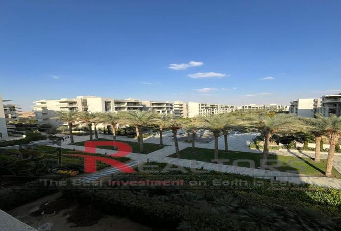 8461004 - Property Image 3