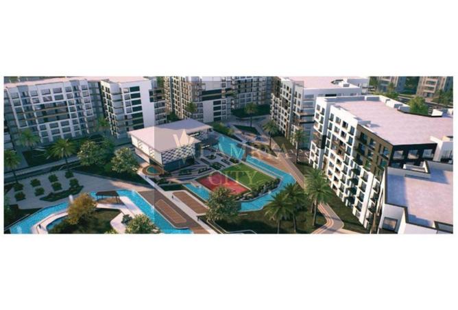 8456335 - Property Image 3