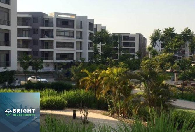 8245457 - Property Image 3