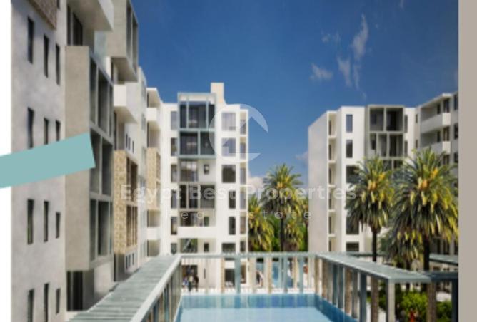 8202361 - Property Image 2