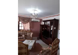 Apartment - 3 Bedrooms - 2 Bathrooms for rent in Street 198 - Degla - Hay El Maadi - Cairo
