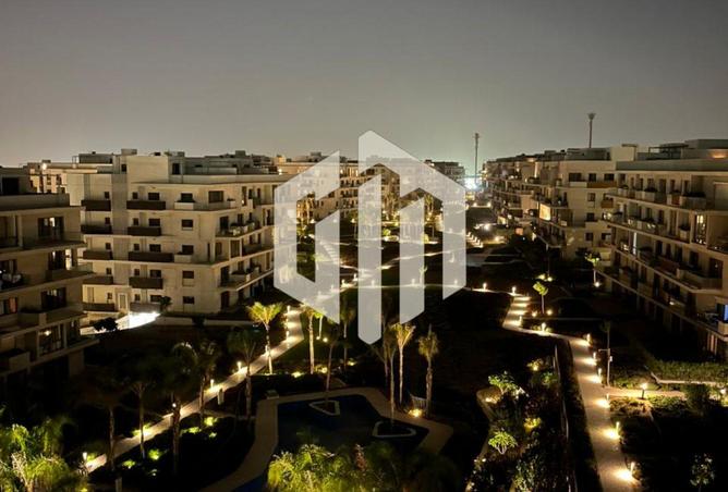 8073405 - Property Image 3