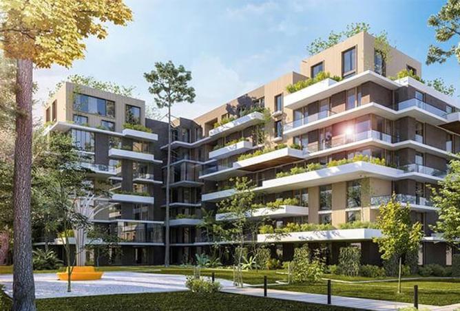 8258425 - Property Image 3