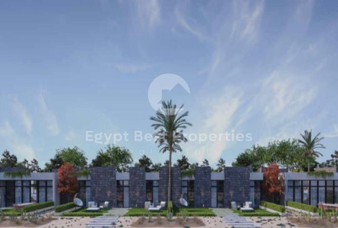 8196849 - Property Image 3