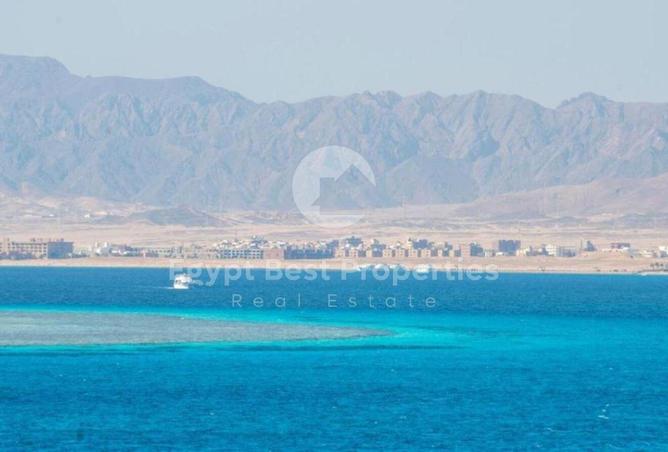 8161695 - Property Image 3