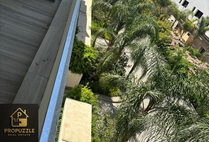 7910804 - صورة العقار 3