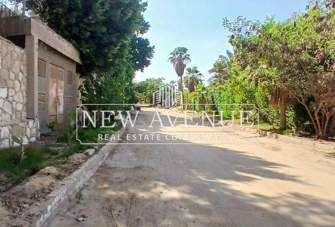 8228067 - صورة العقار 2