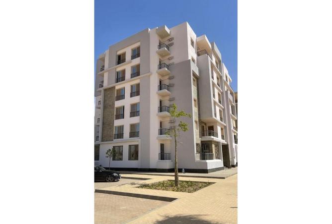 8316892 - Property Image 3