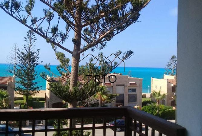 8413173 - صورة العقار 3