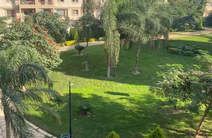 Apartment - 3 Bedrooms - 2 Bathrooms for rent in Privado - Madinaty - Cairo Apartment - 3 Bedrooms - 2 Bathrooms for rent in Privado - Madinaty - Cairo