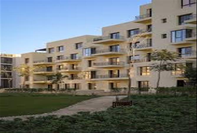 8004848 - Property Image 3
