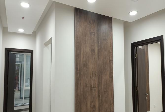 7987364 - صورة العقار 2