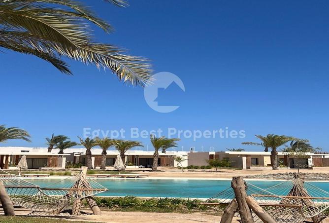 8037960 - صورة العقار 3