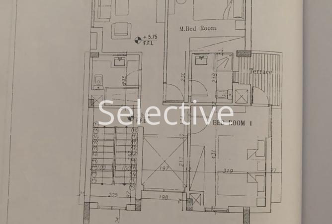 8246510 - Property Image 3